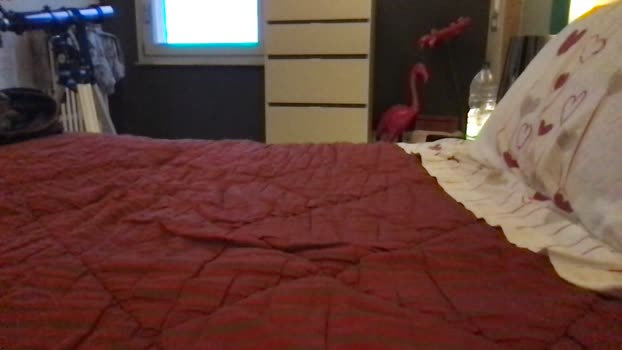 mattiapxxx 12-01-2026 Recorded Video suckcock