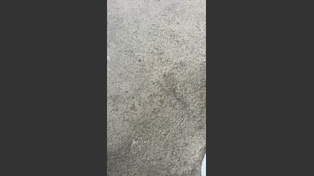 Bullnapol 14-01-2026 Recorded Video jerkoff