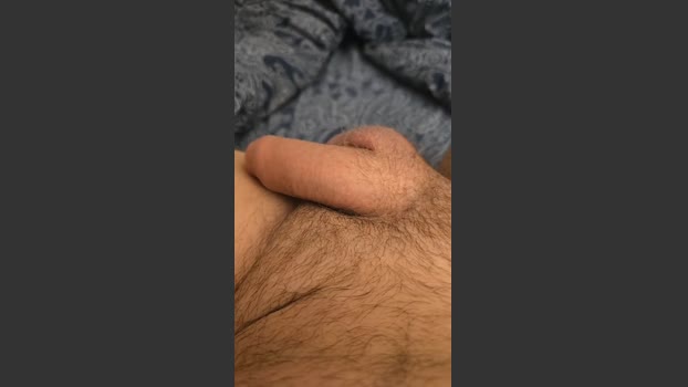 Pumatop 13-01-2026 Recorded Video handsome