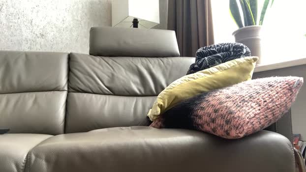franscx1956 14-01-2026 Recorded Video lovense