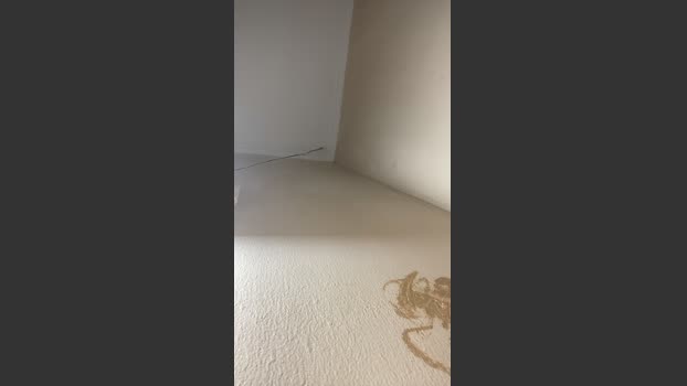 Bahia196 15-01-2026 Recorded Video hardcock