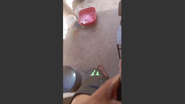 Comedorpiaui 15-01-2026 Recorded Video ass