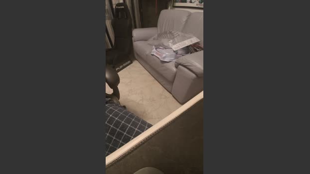 HotPanter82 14-01-2026 Recorded Video analtoy