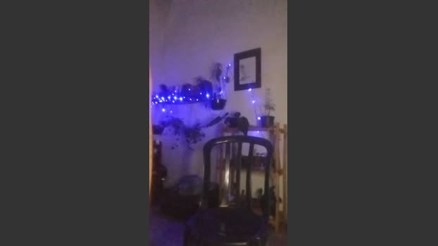 Klinger30 15-01-2026 Recorded Video kiss