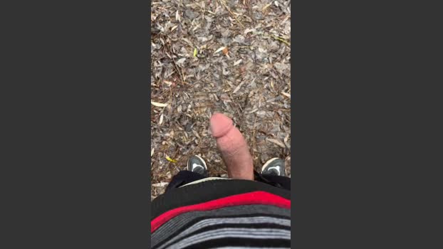 porcobg18 15-01-2026 Recorded Video Ass