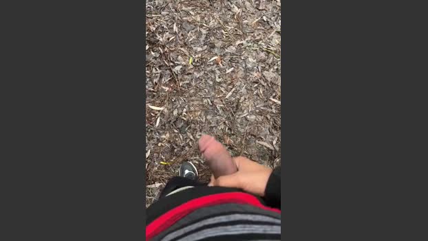 porcobg18 15-01-2026 Recorded Video blowjob