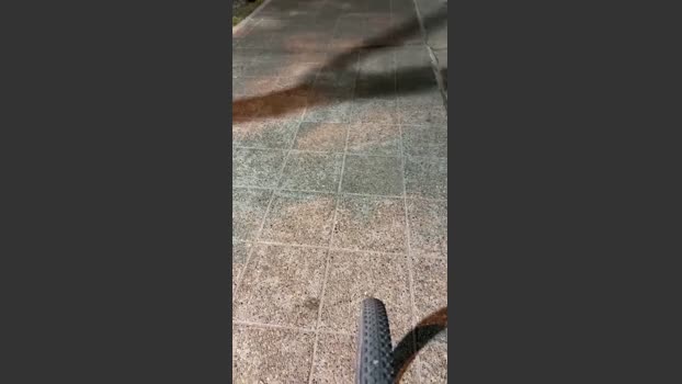 Laoquedad 16-01-2026 Recorded Video toys