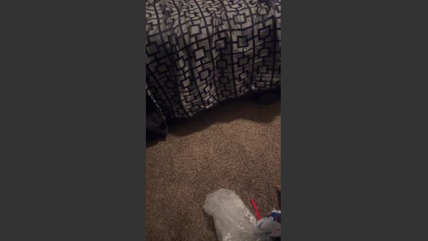 NastyBesties 16-01-2026 Recorded Video play