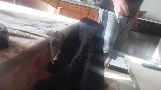 Sergio80_ 16-01-2026 Recorded Video ass