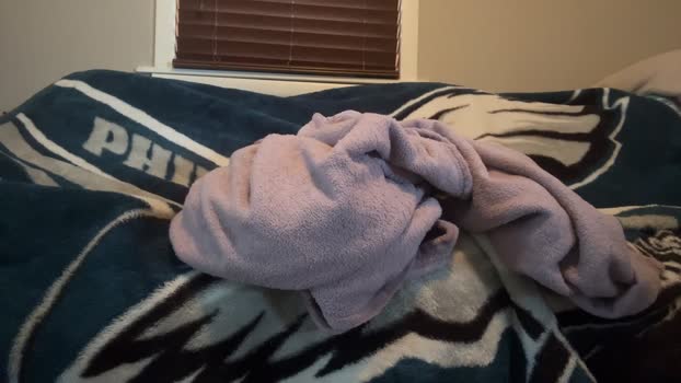 StudlyHardwood 15-01-2026 Recorded Video Recorded