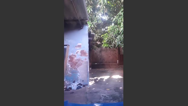 novonaarea1 15-01-2026 Recorded Video prettyface