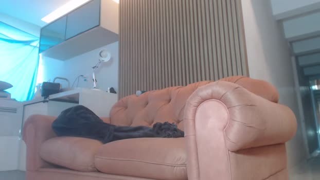 rabudoputomacho 16-01-2026 Recorded Video twink