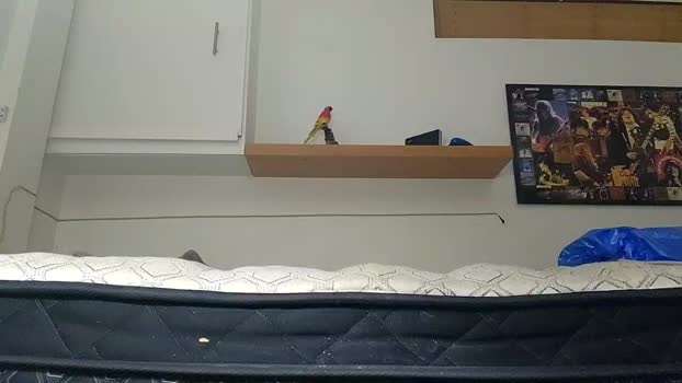 Naughtydirtyboy 17-01-2026 Recorded Video fuckme