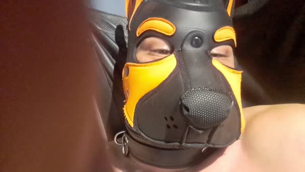 PupBruto 16-01-2026 Recorded Video nude