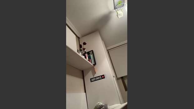 Vctr22 17-01-2026 Recorded Video play