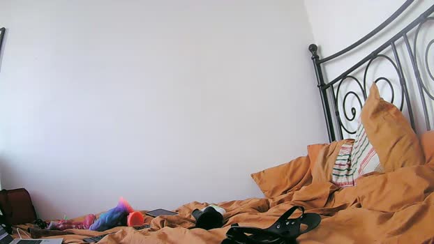 foxyanal 17-01-2026 Recorded Video kink