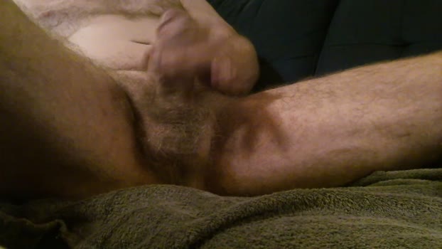 prilen3 17-01-2026 Recorded Video analtoy