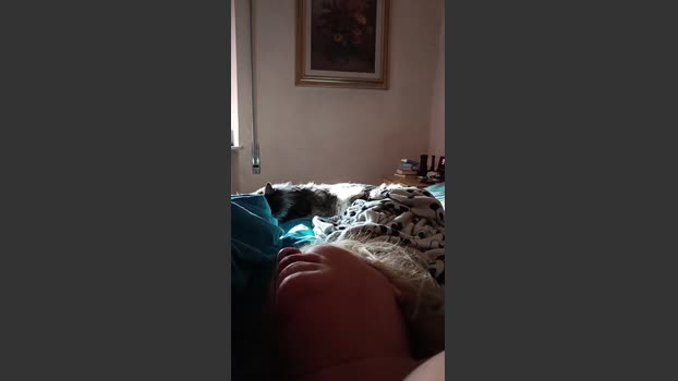 Batacchio70hot 18-01-2026 Recorded Video Nude