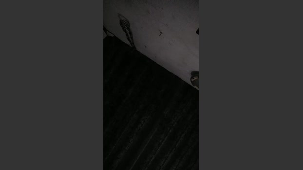 O_GHOST 17-01-2026 Recorded Video jerking
