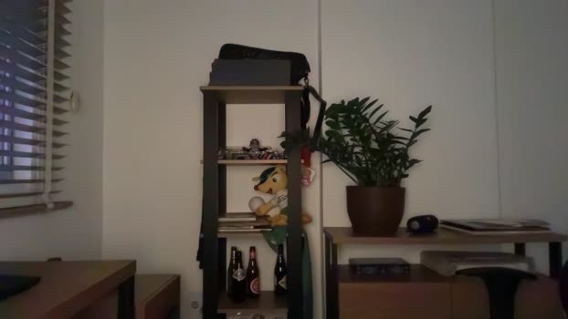 bbpborges 17-01-2026 Recorded Video moan