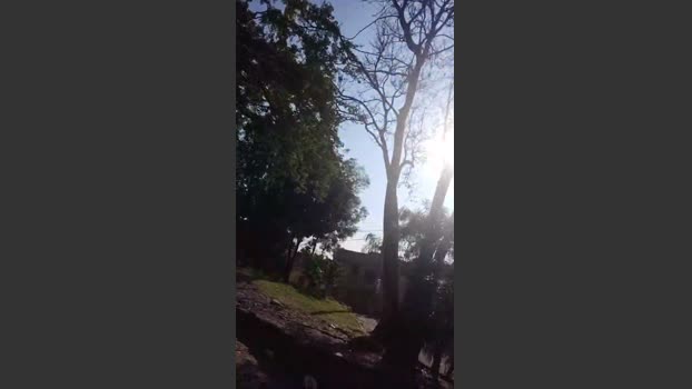 grandeygruesa1 18-01-2026 Recorded Video moan
