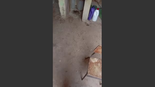 Comedorpiaui 18-01-2026 Recorded Video toy