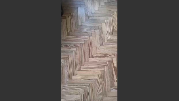 guslosmontes 18-01-2026 Recorded Video strip