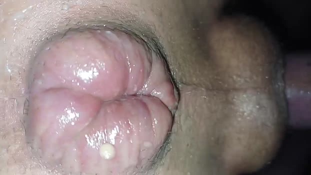 AnalPissFetish 20-01-2026 Recorded Video bigcock