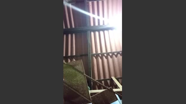 Chinorico 20-01-2026 Recorded Video sweet