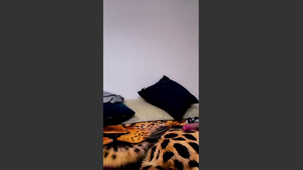 AresSothys 21-01-2026 Recorded Video play