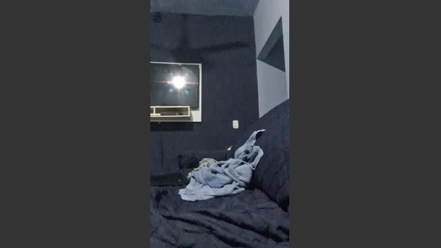 Negowl 21-01-2026 Recorded Video sexybody