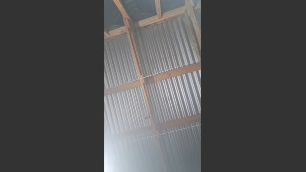 Nuevo69 21-01-2026 Recorded Video fuckme