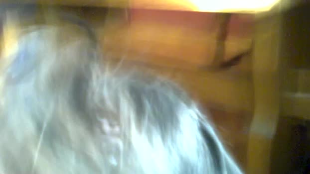 molliger59 21-01-2026 Recorded Video play
