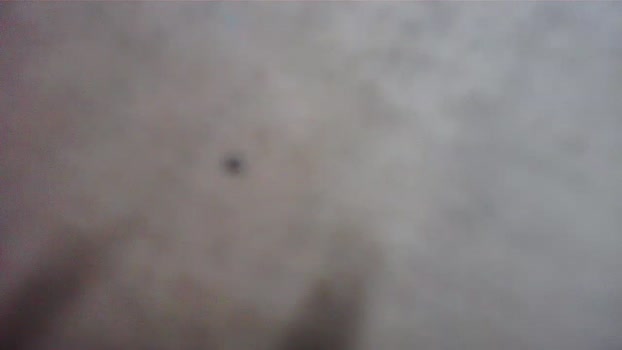 Bigtoyguy34 21-01-2026 Recorded Video bigass