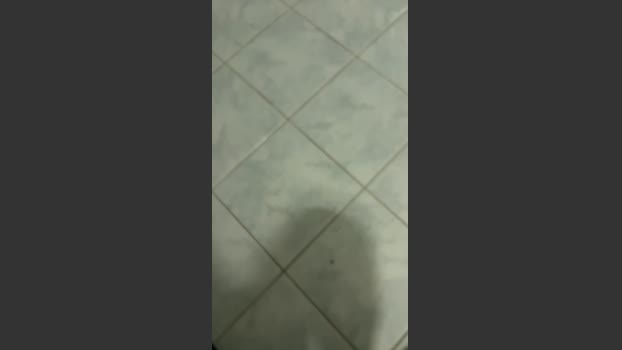 Bullnapol 21-01-2026 Recorded Video kinky