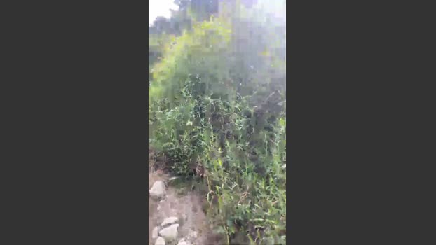 Diegomorbo_str 21-01-2026 Recorded Video Naked