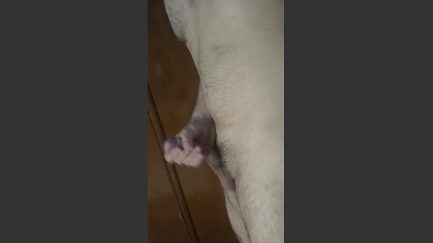 espain2 21-01-2026 Recorded Video squirt