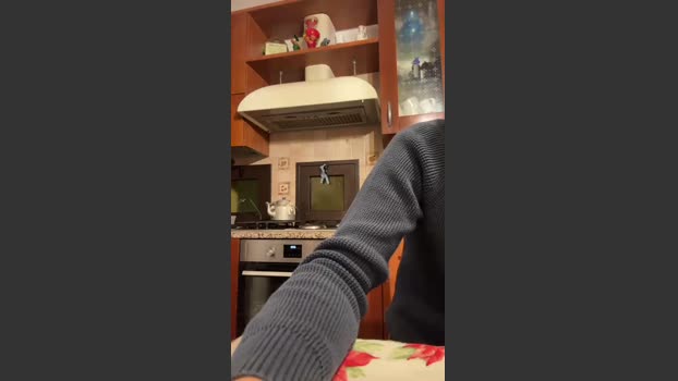 Alerunner_ 22-01-2026 Recorded Video strip