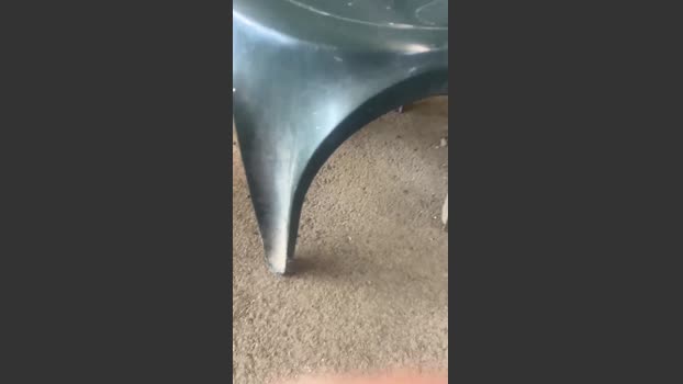 Bullnapol 23-01-2026 Recorded Video jerkoff