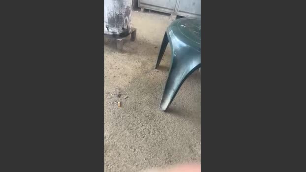 Bullnapol 23-01-2026 Recorded Video lick