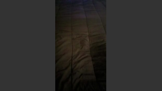 Pedrobr877 22-01-2026 Recorded Video lick