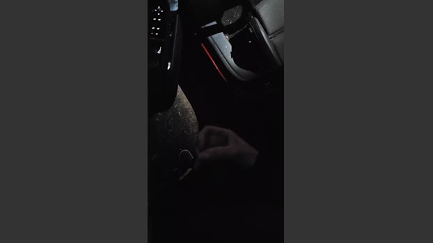 Wiesencoltx 22-01-2026 Recorded Video natural