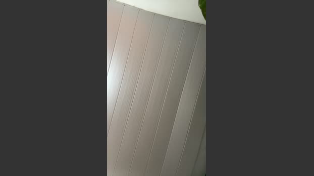 jose34619 23-01-2026 Recorded Video analtoy