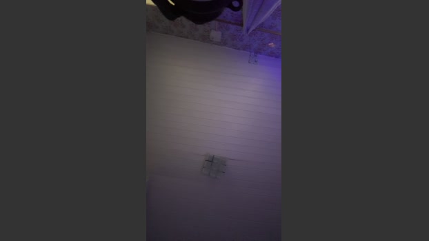 AurumDanLive_ 24-01-2026 Recorded Video lush