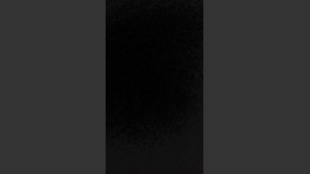 PorciNuovi 24-01-2026 Recorded Video bigcock