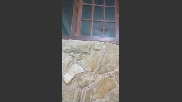 daniel3525 24-01-2026 Recorded Video lovense