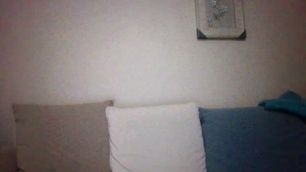 pigeon1111 23-01-2026 Recorded Video play