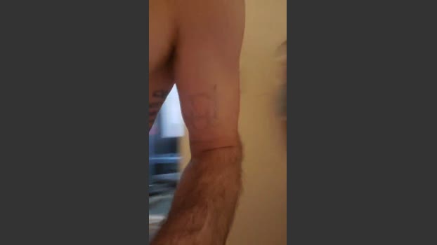 4_Fox_sakes 24-01-2026 Recorded Video toy