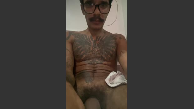HardBioDomMale