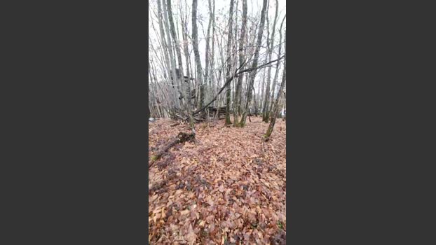 Legtiste 24-01-2026 Recorded Video Show